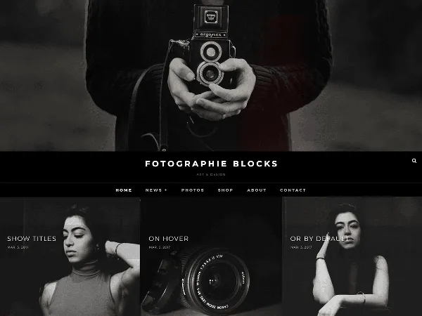Fotografie Blocks is a recommended free GPL-licensed WordPress theme available on wordpress.org.